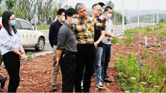 江津区有多少人口_江津区(2)