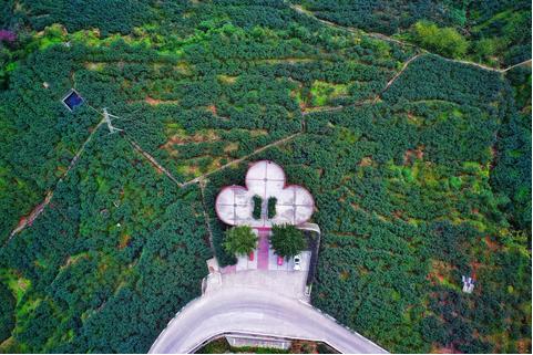 先锋花椒产业基地.jpg