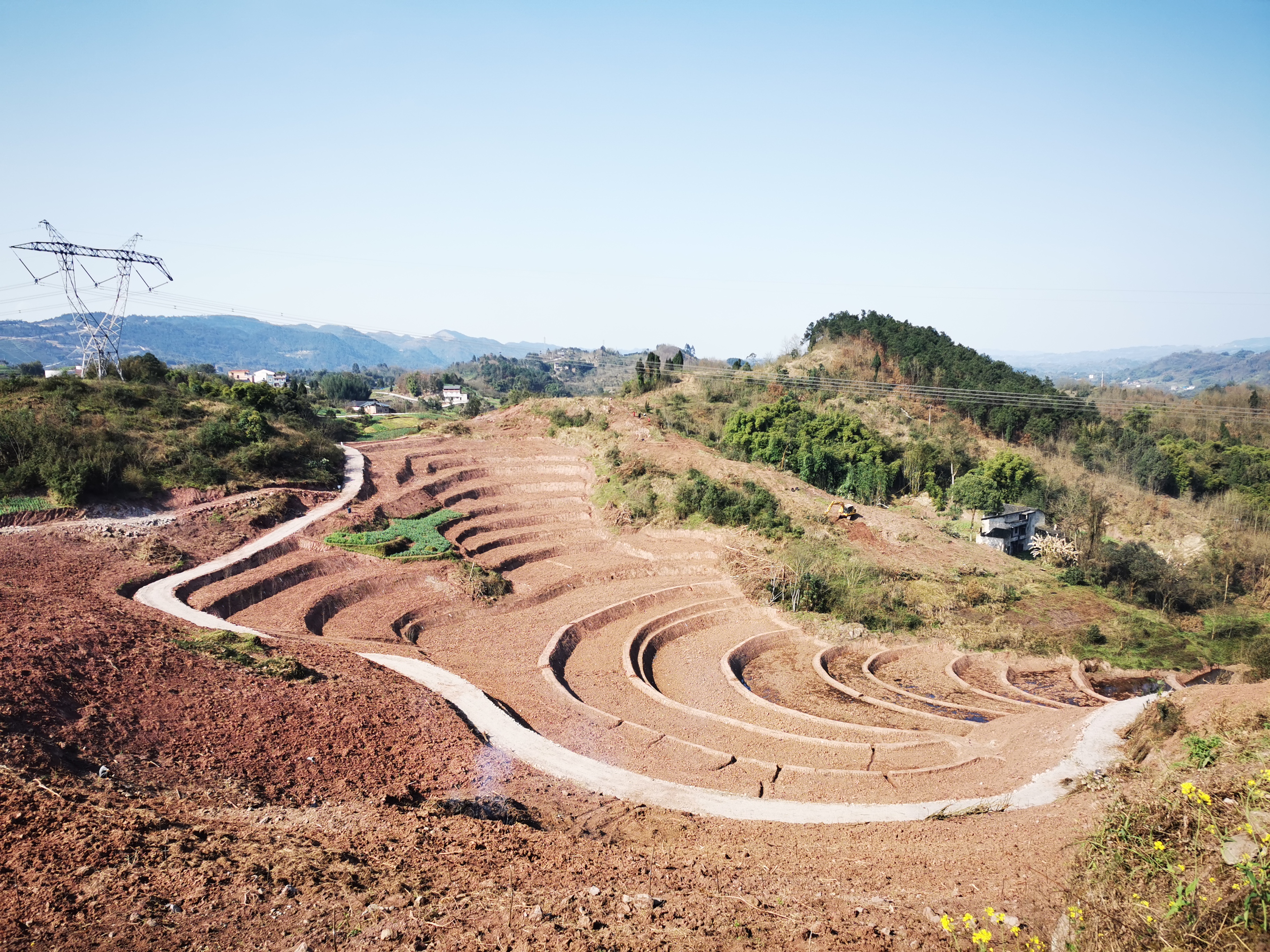 贾嗣镇发展特色效益农业 全镇产业质量不断提升