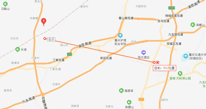 重庆第二机场选址合川图片